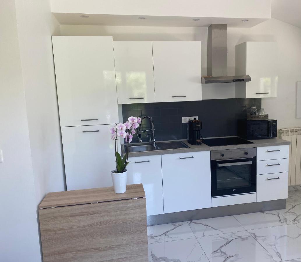 Studio climatisé avec piscine et jardin Villeneuve-Loubet Esterno foto